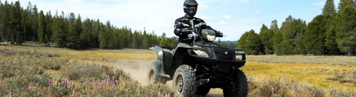 2017 Honda® ATV for sale in Dunfords of Havelock, Havelock, Ontario